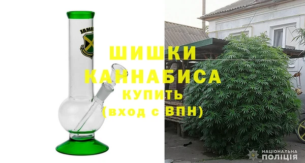 шишки Балахна